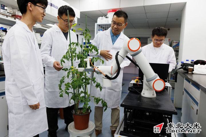图片关键词