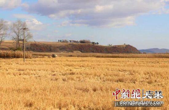 图片关键词 图片关键词