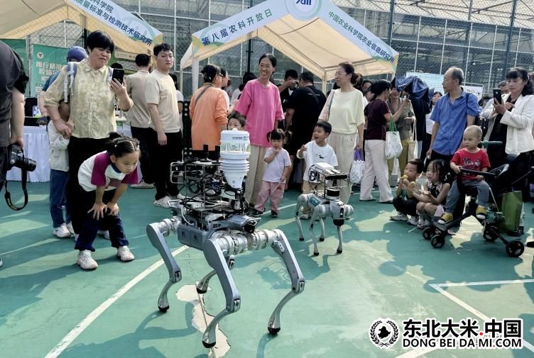 图片关键词 图片