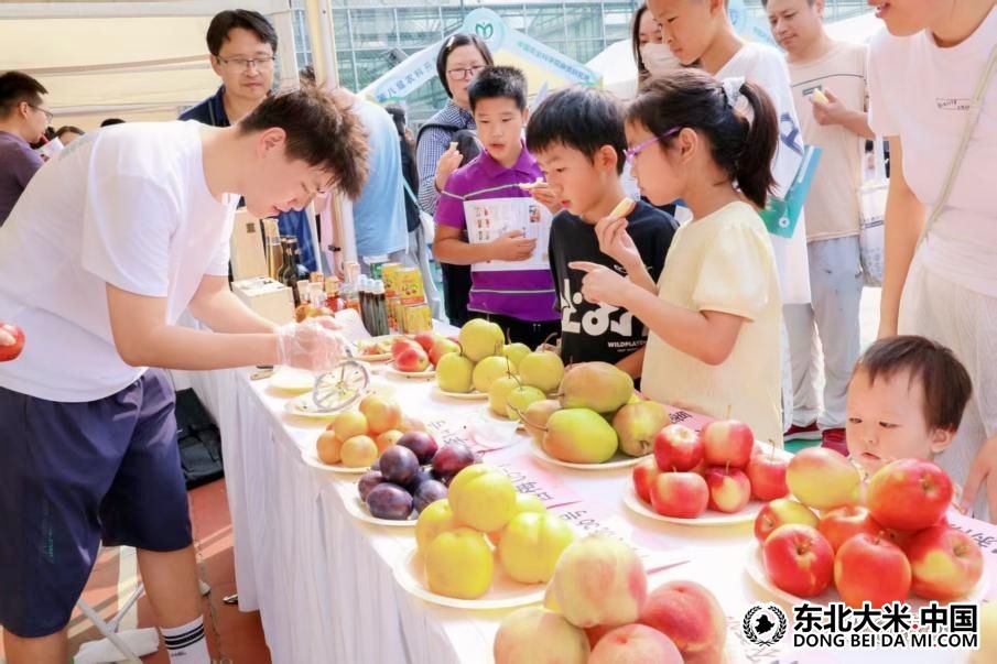 图片关键词 图片