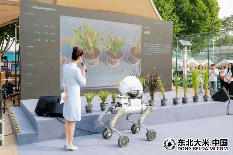 图片关键词 图片