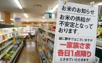 中国大米进入日本市场引发热潮，多地出现疯抢现象，市场反响热烈