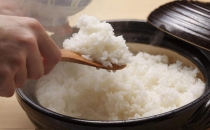 营养大PK：粳米熬粥 籼米焖饭