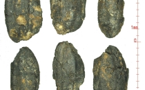 宝墩遗址发现4500年前水稻田 系长江上游首次发现