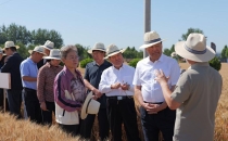 为全方位夯实粮食安全根基提供法治保障-全国人大常委会粮食安全保障法执法检查组在晋检查侧记