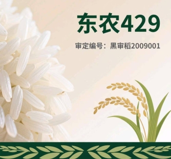 黑龙江五常大米东农429介绍