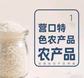 辽宁营口大米营粳1号的介绍