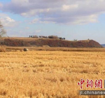 吉林磐石&ldquo;兰家大米&rdquo;：水稻育苗忙 种出&ldquo;新希望&rdquo;