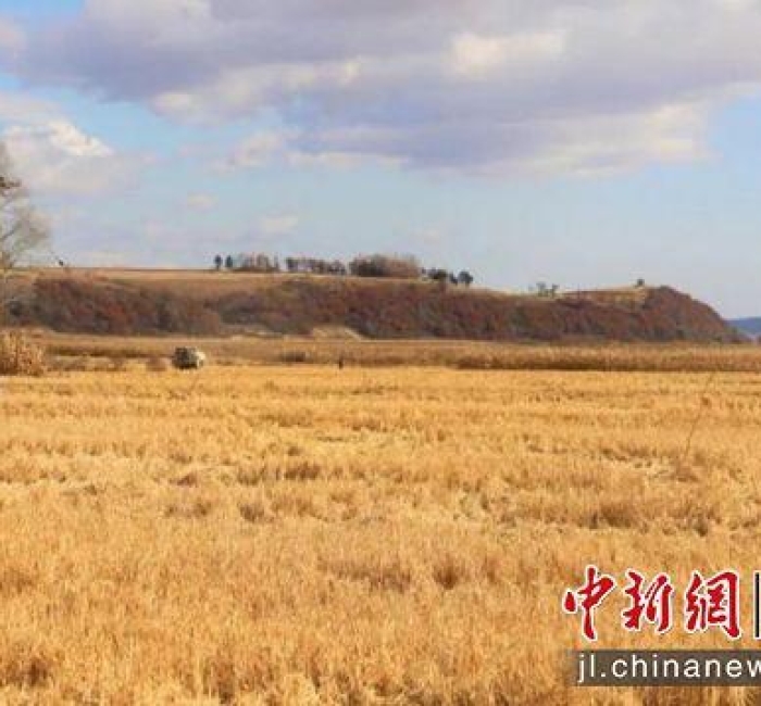 吉林磐石&ldquo;兰家大米&rdquo;：水稻育苗忙 种出&ldquo;新希望&rdquo;
