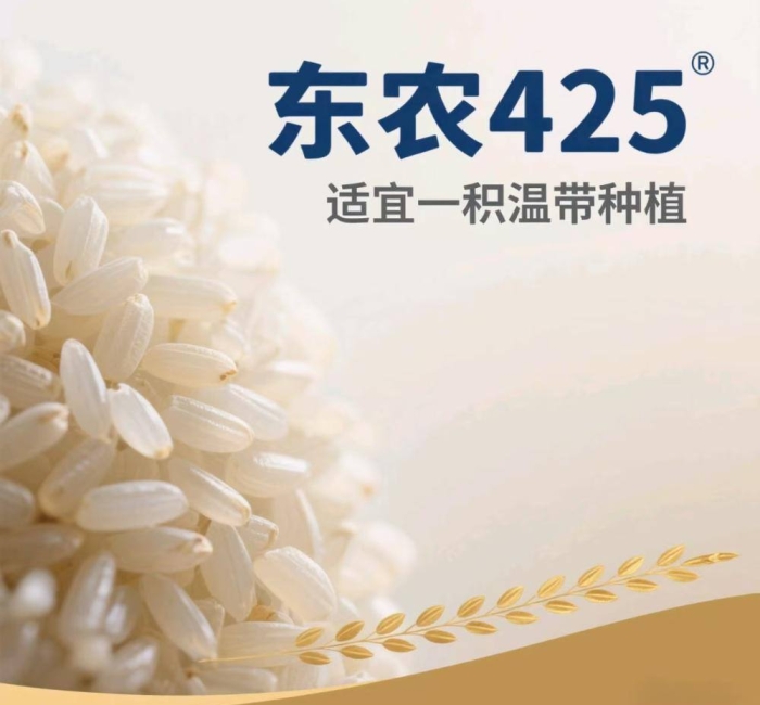 黑龙江五常大米东农425介绍