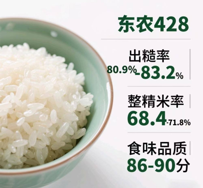 黑龙江五常大米东农428的介绍