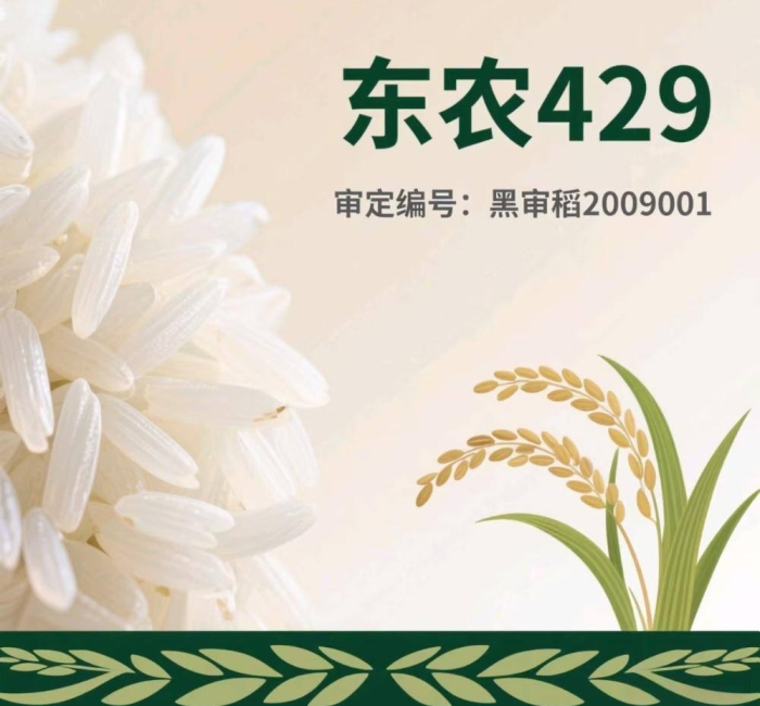黑龙江五常大米东农429介绍